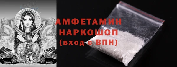 гашик Коряжма