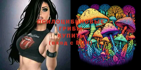 гашик Коряжма