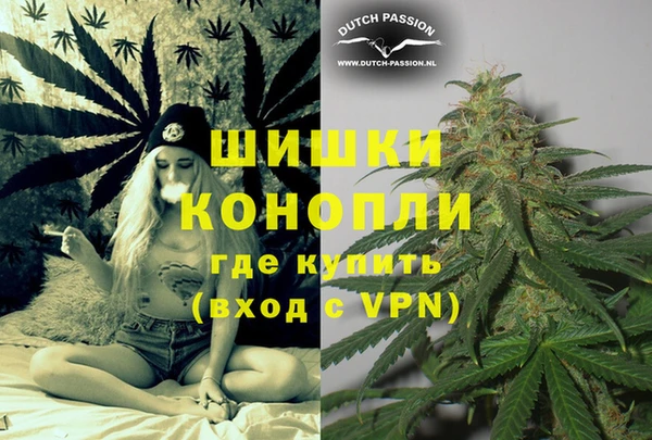 гашик Коряжма