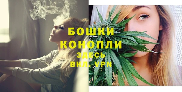 гашик Коряжма