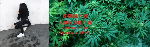 гашик Коряжма