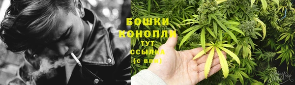 гашик Коряжма