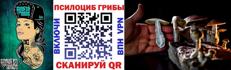 Галлюциногенные грибы ЛСД  сколько стоит  Новосокольники 