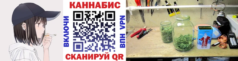 дарнет шоп  Новосокольники  Каннабис VHQ 